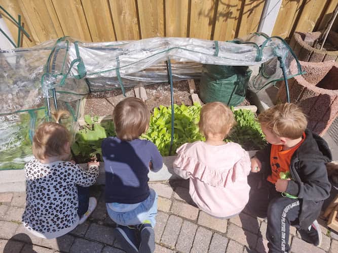 Gastouderopvang De Beestenboel Hoogvliet