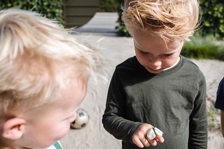 Kinderopvang Wiedewei Ouddorp