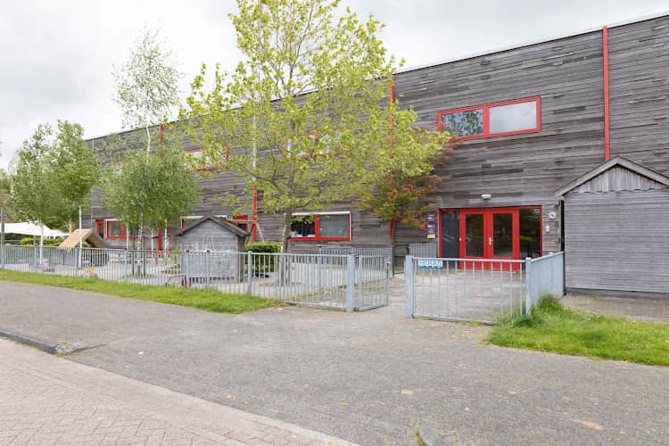 Kinderwoud Het Bunderbos