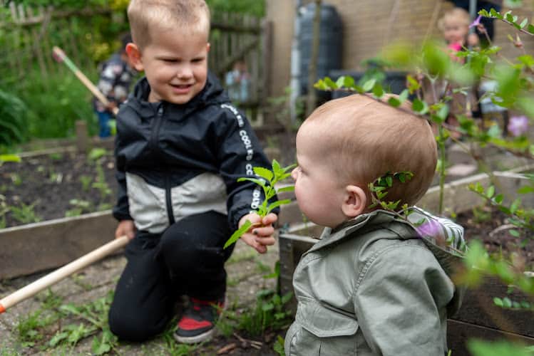 Kinderopvang Wiedewei Den Hout