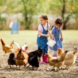Kinderdagverblijf Groei en Bloei