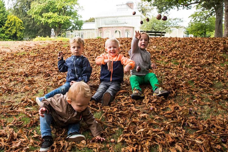 Joey's kinderopvang gastouder