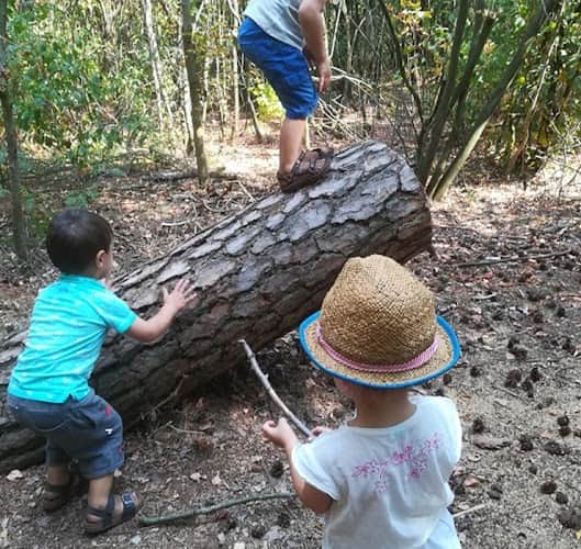 Peuteropvang Koele Kikker | Kinderdagverblijf Koele Kikker