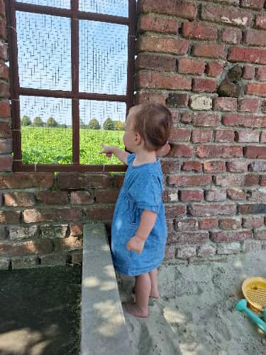 Gastouderopvang Kiddiez