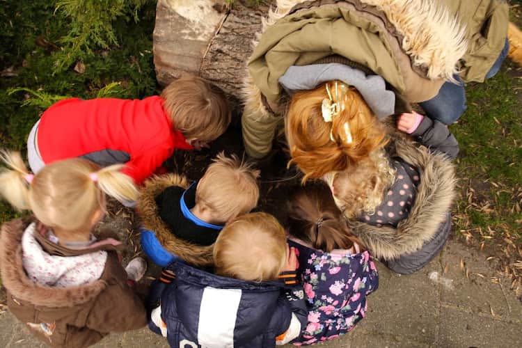 Solidoe Oostkroost