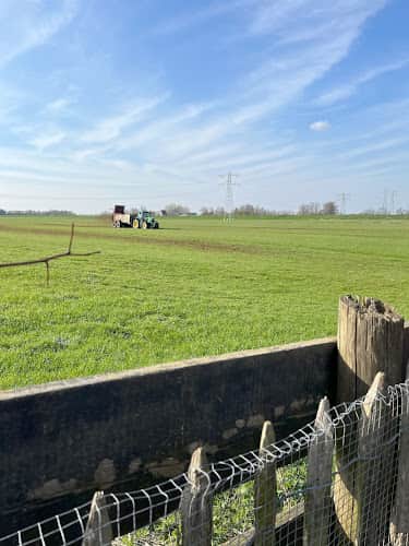 Lio & Sproet coaching en kinderopvang