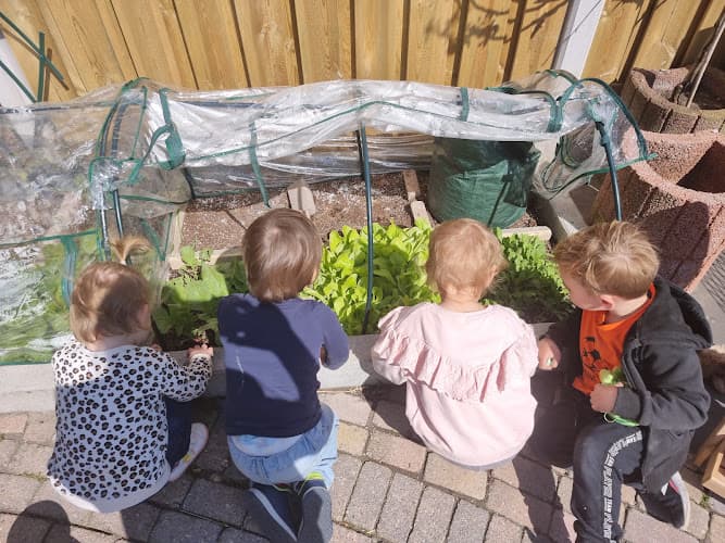 Gastouderopvang De Beestenboel Hoogvliet