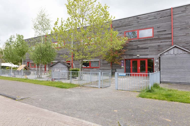 Kinderwoud Het Bunderbos