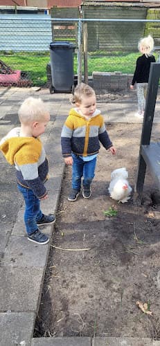 Gastouderopvang Het Krijgertje