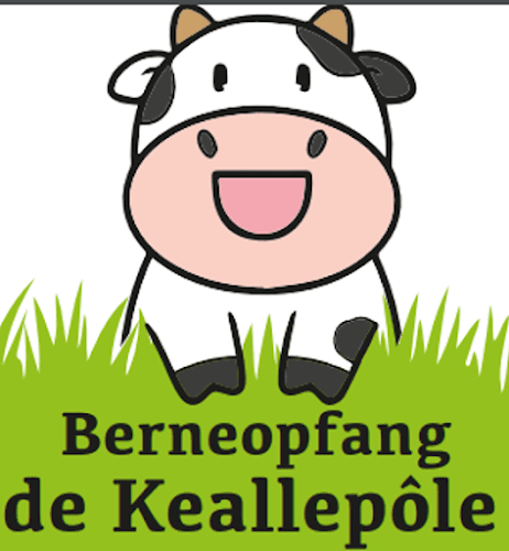 De Kealle pôle