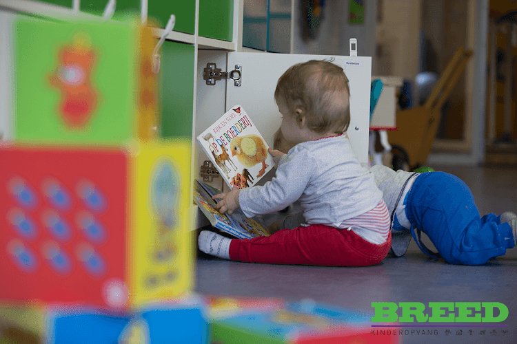 Stichting Kinderopvang Breed