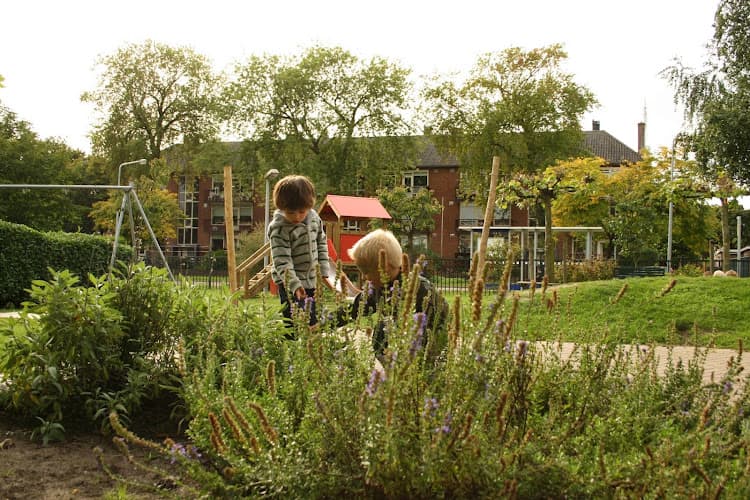 Bink Kinderdagverblijf Toermalijn